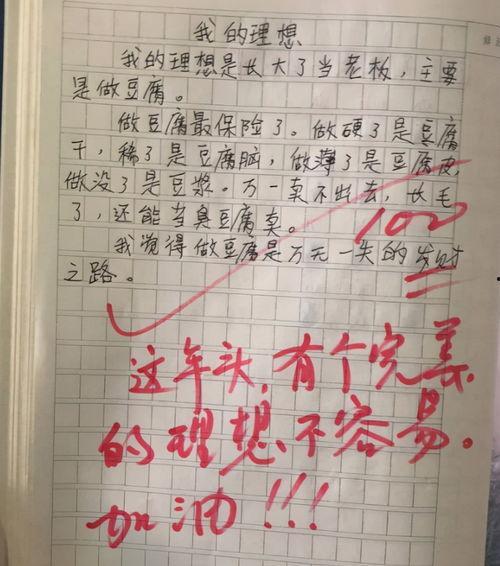 網(wǎng)紅之所以紅的原因作文,魅力與策略并重